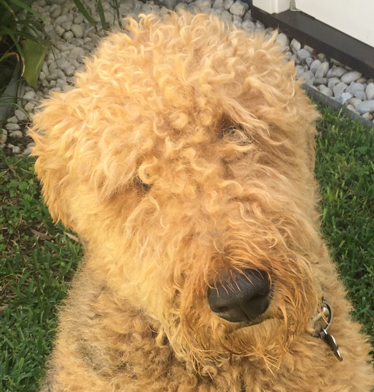 Life is not a food blog